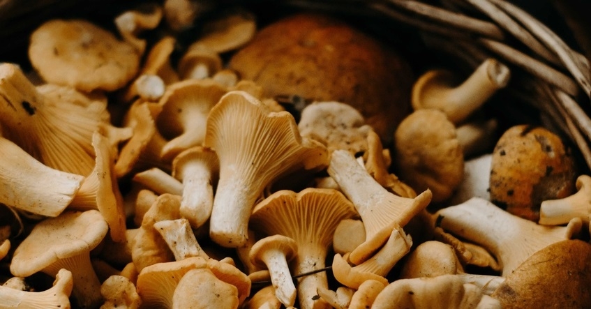 Cogumelos com queijo azul e nozes